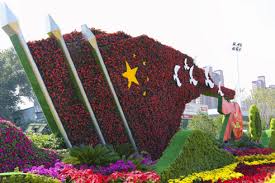世界杯官网 沈丘县东环路两边绿化工程