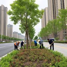 思南县人民医院绿化工程